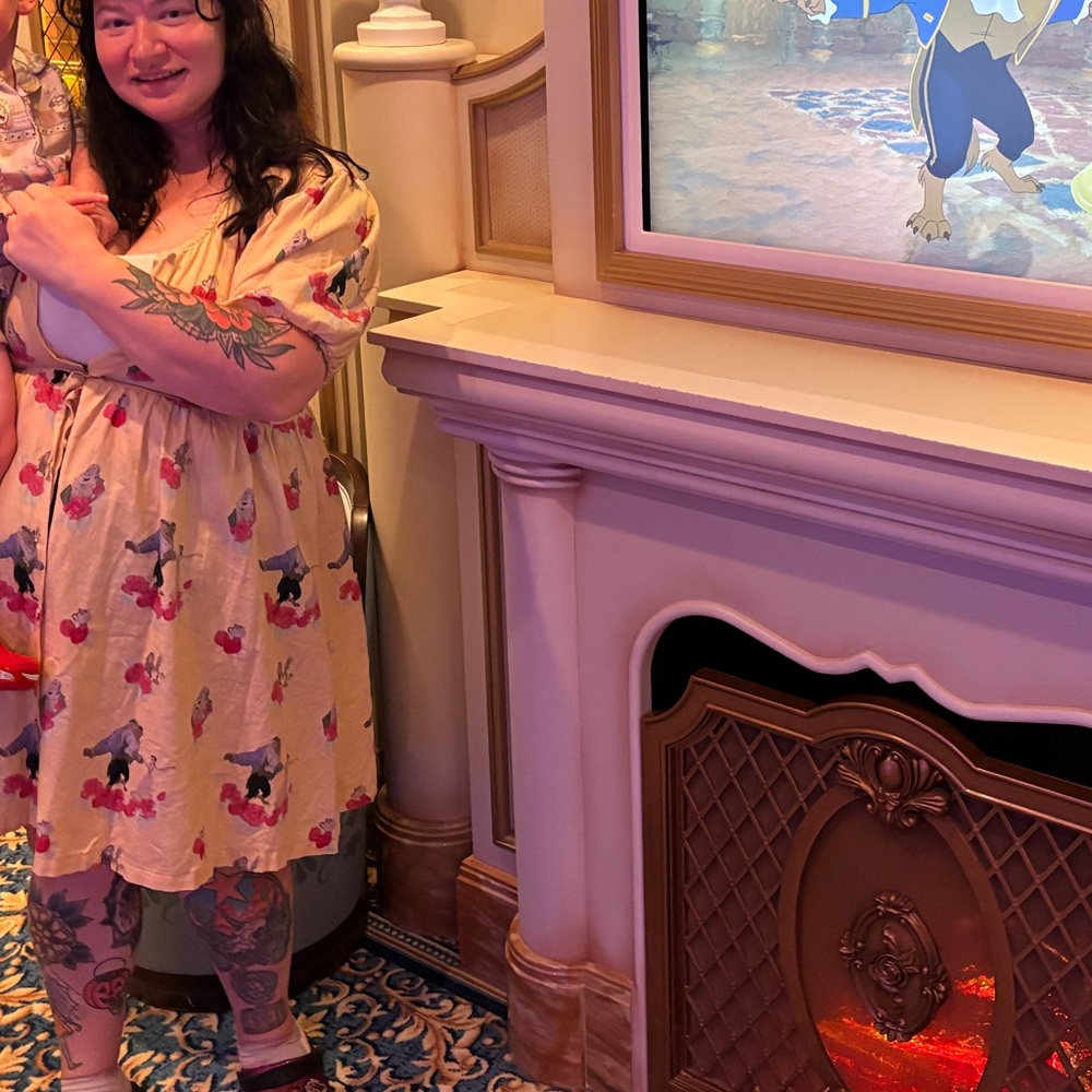 Disney Cakeworthy dress Beauty and The Beast size 2X - Picture 13 of 13